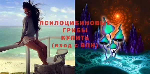 стафф Зеленодольск