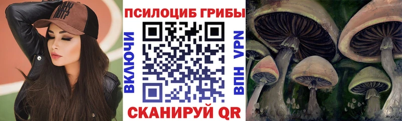 Псилоцибиновые грибы Psilocybe  Ногинск 